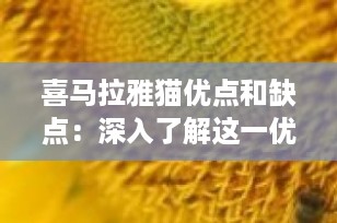 喜马拉雅猫优点和缺点：深入了解这一优雅伴侣的全貌