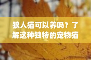 狼人猫可以养吗？了解这种独特的宠物猫品种
