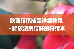欧西猫爪捕鼠详细教程 - 释放您家猫咪的狩猎本能