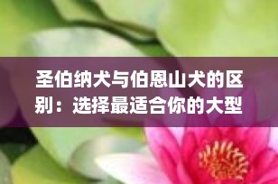 圣伯纳犬与伯恩山犬的区别：选择最适合你的大型犬种