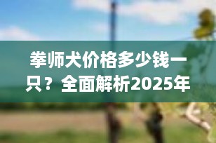拳师犬价格多少钱一只？全面解析2025年市场行情