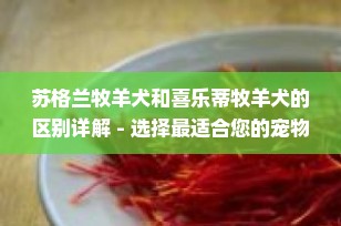 苏格兰牧羊犬和喜乐蒂牧羊犬的区别详解 - 选择最适合您的宠物伙伴