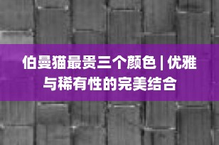 伯曼猫最贵三个颜色 | 优雅与稀有性的完美结合