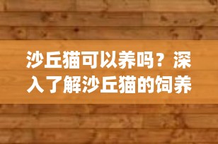 沙丘猫可以养吗？深入了解沙丘猫的饲养挑战与保护现状