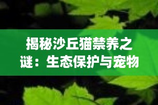 揭秘沙丘猫禁养之谜：生态保护与宠物爱好者之间的平衡