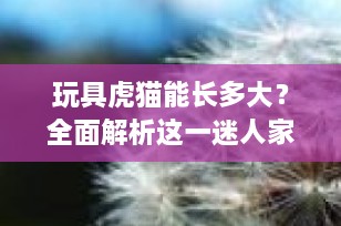 玩具虎猫能长多大？全面解析这一迷人家猫品种的成长潜力