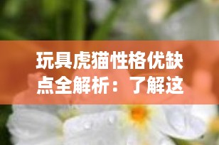 玩具虎猫性格优缺点全解析：了解这一独特宠物的方方面面