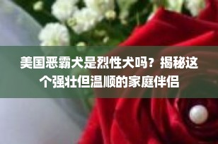 美国恶霸犬是烈性犬吗？揭秘这个强壮但温顺的家庭伴侣