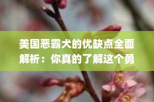 美国恶霸犬的优缺点全面解析：你真的了解这个勇敢的小巨人吗？