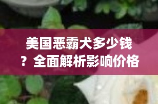 美国恶霸犬多少钱？全面解析影响价格的因素与市场行情