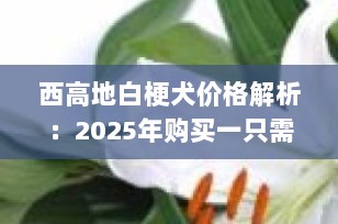 西高地白梗犬价格解析：2025年购买一只需要多少钱？