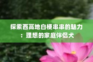 探索西高地白梗串串的魅力：理想的家庭伴侣犬