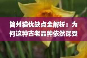 简州猫优缺点全解析：为何这种古老品种依然深受爱猫人士喜爱