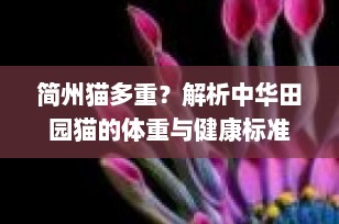 简州猫多重？解析中华田园猫的体重与健康标准
