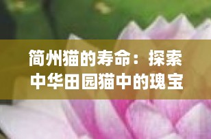 简州猫的寿命：探索中华田园猫中的瑰宝