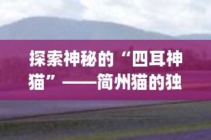 探索神秘的“四耳神猫”——简州猫的独特魅力
