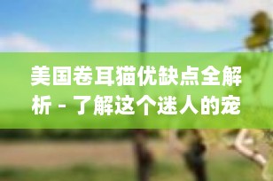 美国卷耳猫优缺点全解析 - 了解这个迷人的宠物伙伴