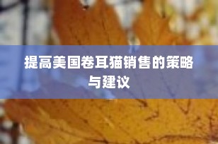 提高美国卷耳猫销售的策略与建议