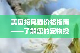美国短尾猫价格指南——了解您的宠物投资