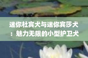 迷你杜宾犬与迷你宾莎犬：魅力无限的小型护卫犬种全解析