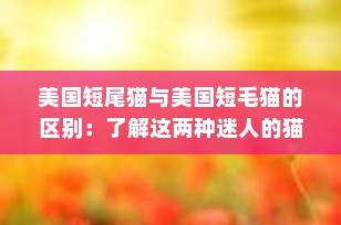 美国短尾猫与美国短毛猫的区别：了解这两种迷人的猫咪品种