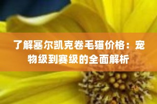 了解塞尔凯克卷毛猫价格：宠物级到赛级的全面解析