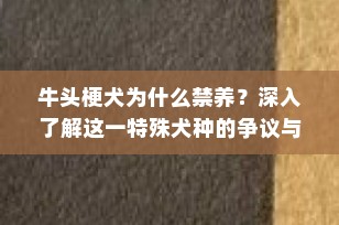 牛头梗犬为什么禁养？深入了解这一特殊犬种的争议与挑战