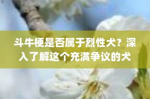 斗牛梗是否属于烈性犬？深入了解这个充满争议的犬种