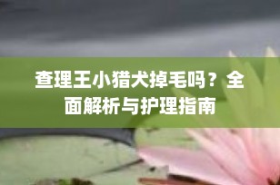 查理王小猎犬掉毛吗？全面解析与护理指南