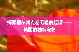 探索塞尔凯克卷毛猫的起源——美国的独特宠物