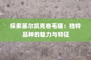 探索塞尔凯克卷毛猫：独特品种的魅力与特征