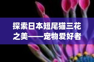探索日本短尾猫三花之美——宠物爱好者的理想选择