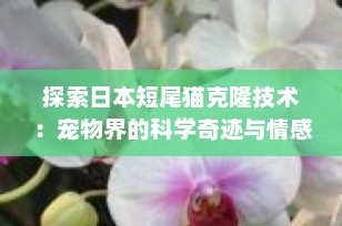 探索日本短尾猫克隆技术：宠物界的科学奇迹与情感纽带