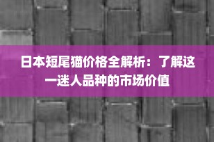 日本短尾猫价格全解析：了解这一迷人品种的市场价值