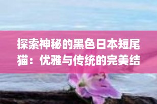探索神秘的黑色日本短尾猫：优雅与传统的完美结合