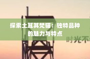 探索土耳其梵猫：独特品种的魅力与特点