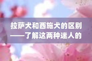 拉萨犬和西施犬的区别——了解这两种迷人的狮子犬