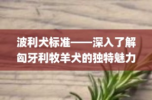波利犬标准——深入了解匈牙利牧羊犬的独特魅力