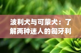 波利犬与可蒙犬：了解两种迷人的匈牙利牧羊犬