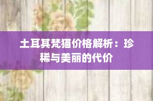 土耳其梵猫价格解析：珍稀与美丽的代价