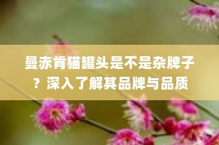 曼赤肯猫罐头是不是杂牌子？深入了解其品牌与品质