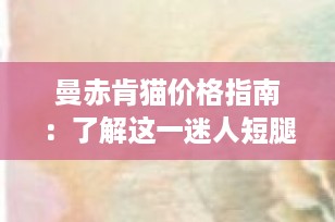 曼赤肯猫价格指南：了解这一迷人短腿猫的市场价值