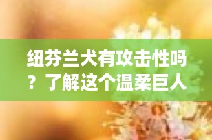 纽芬兰犬有攻击性吗？了解这个温柔巨人的真相