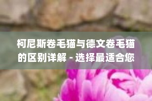 柯尼斯卷毛猫与德文卷毛猫的区别详解 - 选择最适合您的卷毛猫伴侣