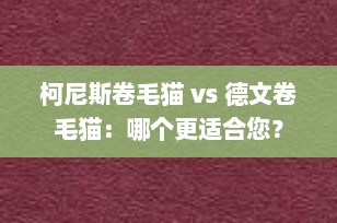 柯尼斯卷毛猫 vs 德文卷毛猫：哪个更适合您？