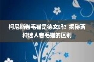 柯尼斯卷毛猫是德文吗？揭秘两种迷人卷毛猫的区别