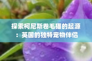 探索柯尼斯卷毛猫的起源：英国的独特宠物伴侣