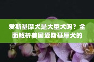 爱斯基摩犬是大型犬吗？全面解析美国爱斯基摩犬的体型分类与特点