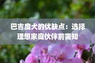 巴吉度犬的优缺点：选择理想家庭伙伴前需知