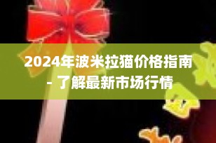 2024年波米拉猫价格指南 - 了解最新市场行情
